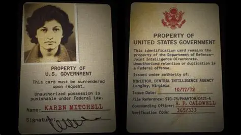 Gemini Files